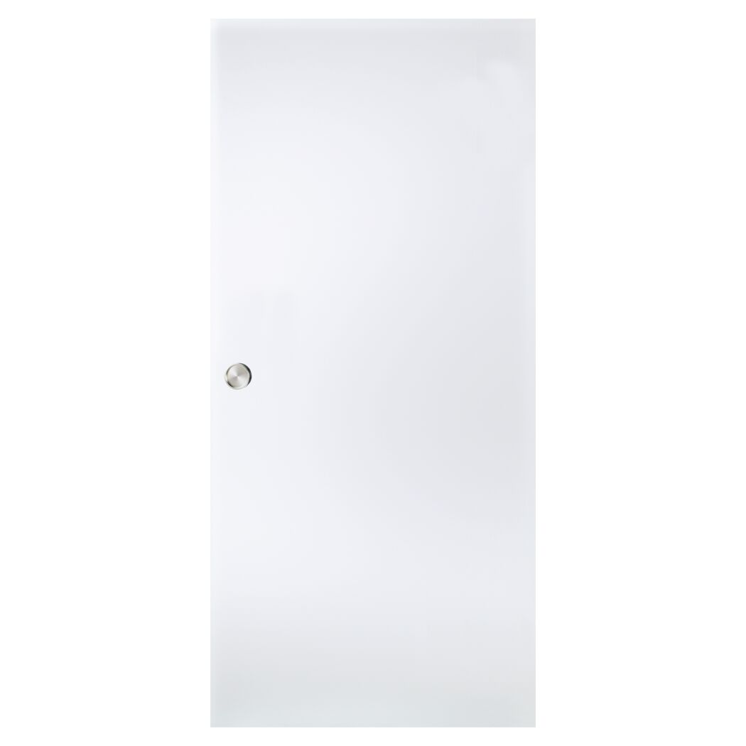 Schiebetür Siebdruck 205,8 x 93,5 x 0,8 cm Typ 64/00-E
