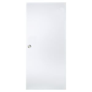 Schiebetür Siebdruck 205,8 x 93,5 x 0,8 cm Typ 64/00-E