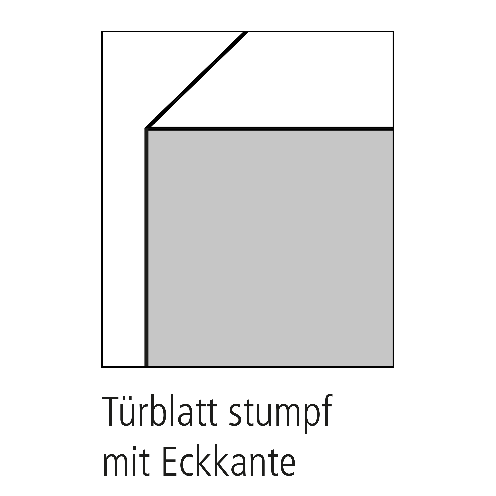 Schiebetür 'Typ 42' weiß 205 x 93,5 x 3,9 cm + product picture