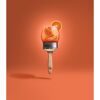 Trendfarbe 'Aperitivo' orange matt 50 ml