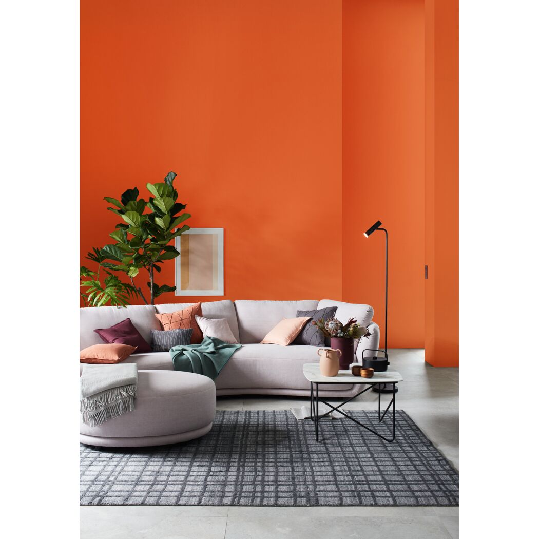 Trendfarbe 'Aperitivo' orange matt 50 ml