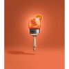 Trendfarbe 'Aperitivo' orange matt 1 l