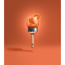 Trendfarbe 'Aperitivo' orange matt 2,5 l