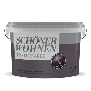 Trendfarbe 'Universe' violett matt 2,5 l