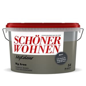 Wandfarbe my colour 'my iron' grau matt 5 l