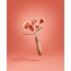 Trendfarbe Jubiläumsedition 'Summer' rot matt 2,5 l