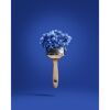 Trendfarbe Jubiläumsedition 'Cornflower' blau matt 2,5 l