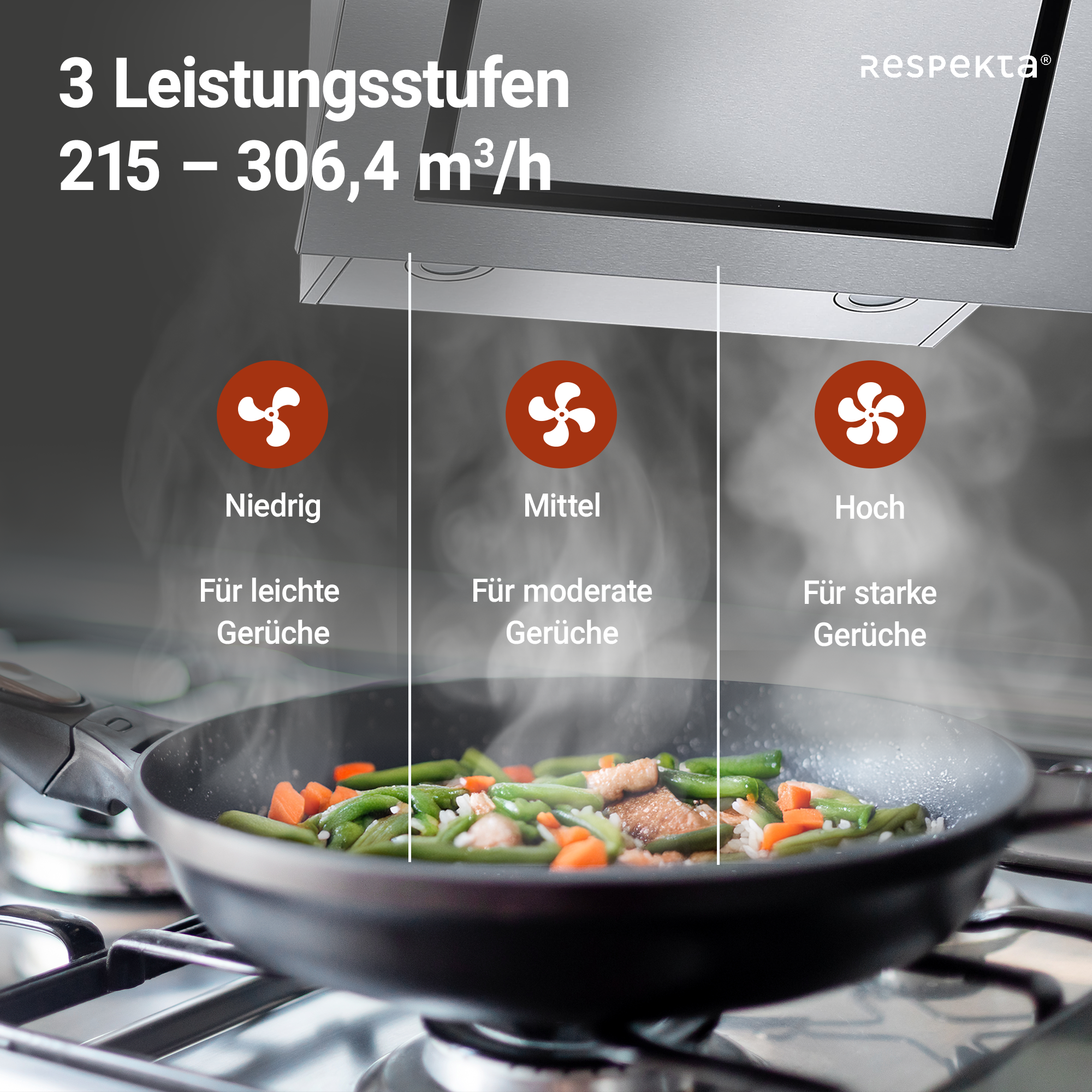 Schräghaube 'CH22020IXB' Edelstahl 60 cm