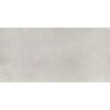 Bodenfliese 'Fog' Feinsteinzeug grau 29,8 x 59,8 x 0,8 cm