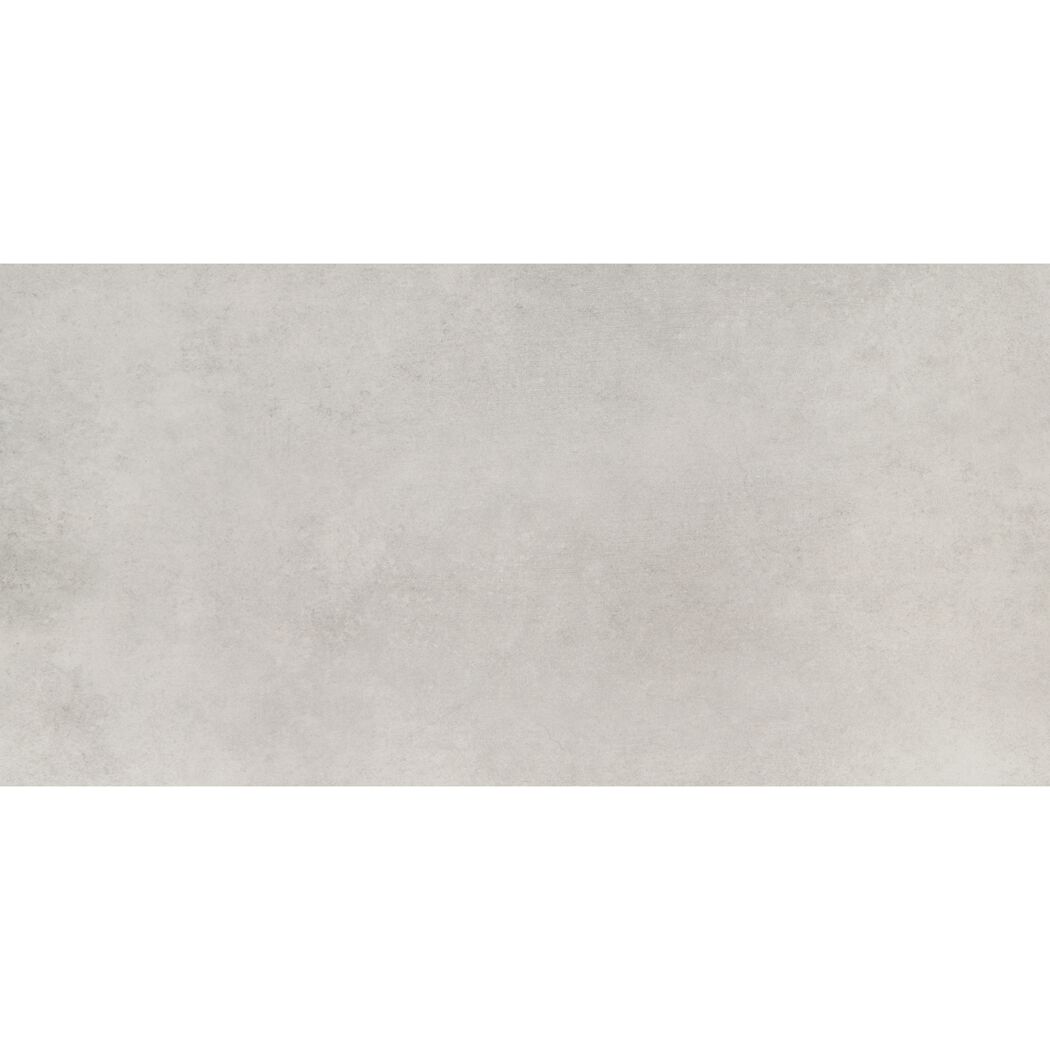 Bodenfliese 'Fog' Feinsteinzeug grau 29,8 x 59,8 x 0,8 cm