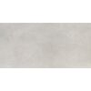 Bodenfliese 'Fog' Feinsteinzeug grau 29,8 x 59,8 x 0,8 cm
