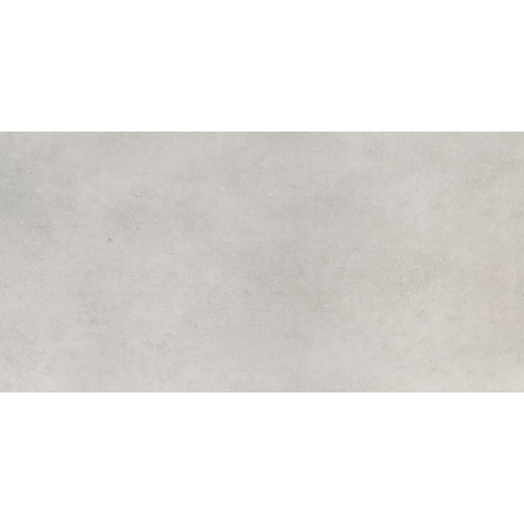Bodenfliese 'Fog' Feinsteinzeug grau 29,8 x 59,8 x 0,8 cm