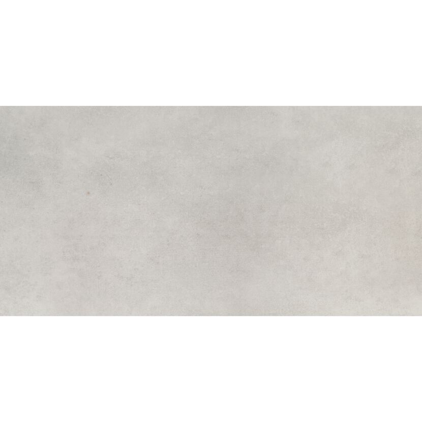 Bodenfliese 'Fog' Feinsteinzeug grau 29,8 x 59,8 x 0,8 cm