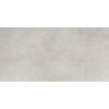 Bodenfliese 'Fog' Feinsteinzeug grau 29,8 x 59,8 x 0,8 cm