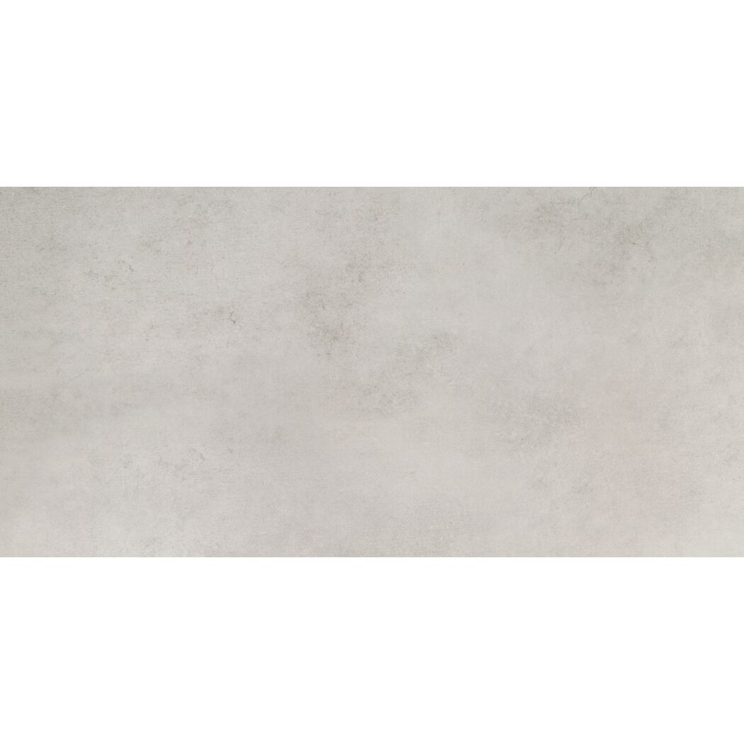 Bodenfliese 'Fog' Feinsteinzeug grau 29,8 x 59,8 x 0,8 cm