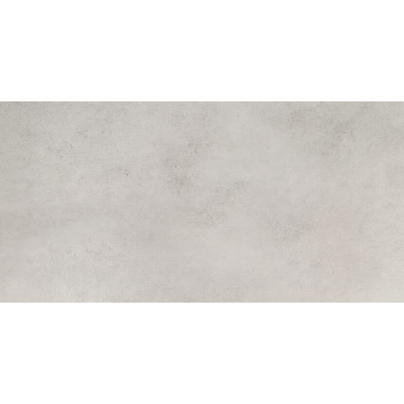 Bodenfliese 'Fog' Feinsteinzeug grau 29,8 x 59,8 x 0,8 cm