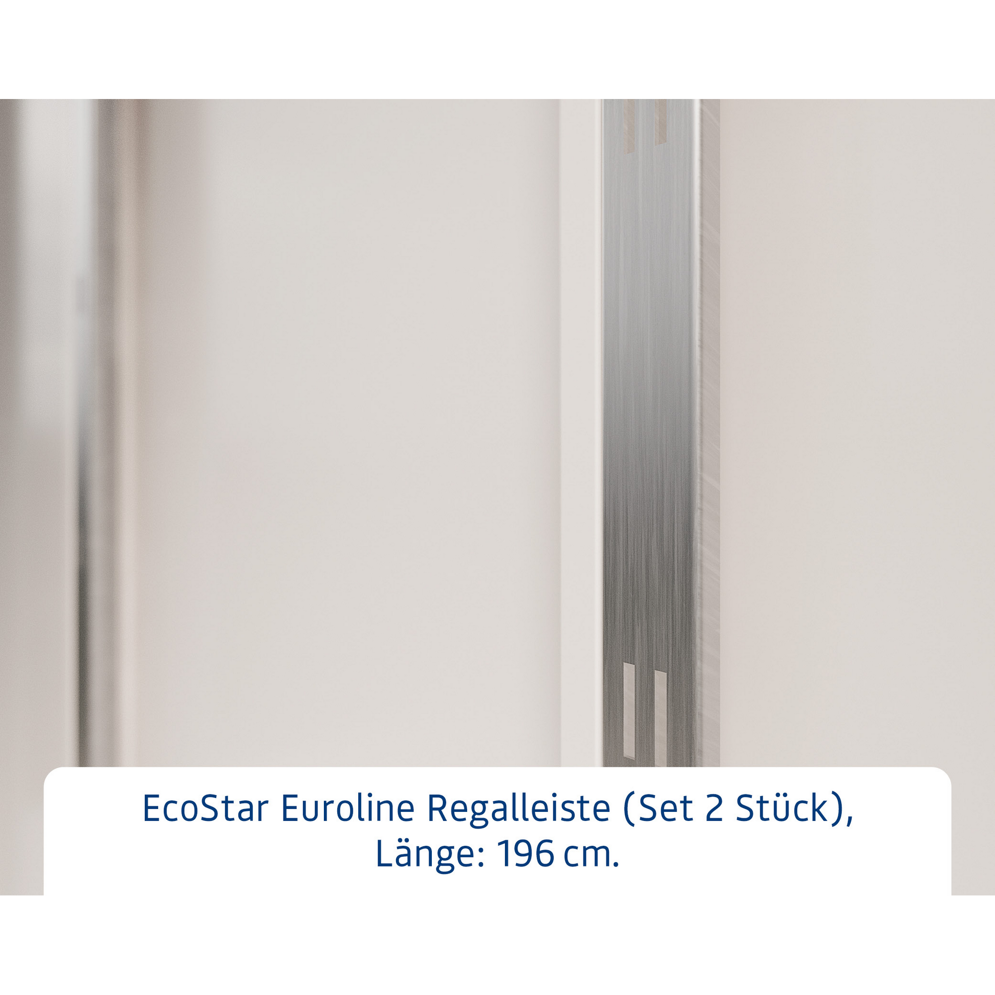 Regalleiste 'Euroline' Stahl 196 x 8 cm für Gerätehaus, 2 Stück