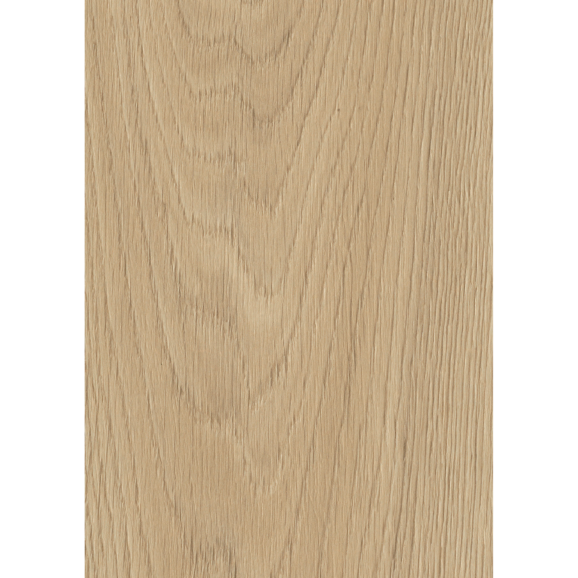 Laminat 'Comforth Oak Silk' eichefarben 6 mm