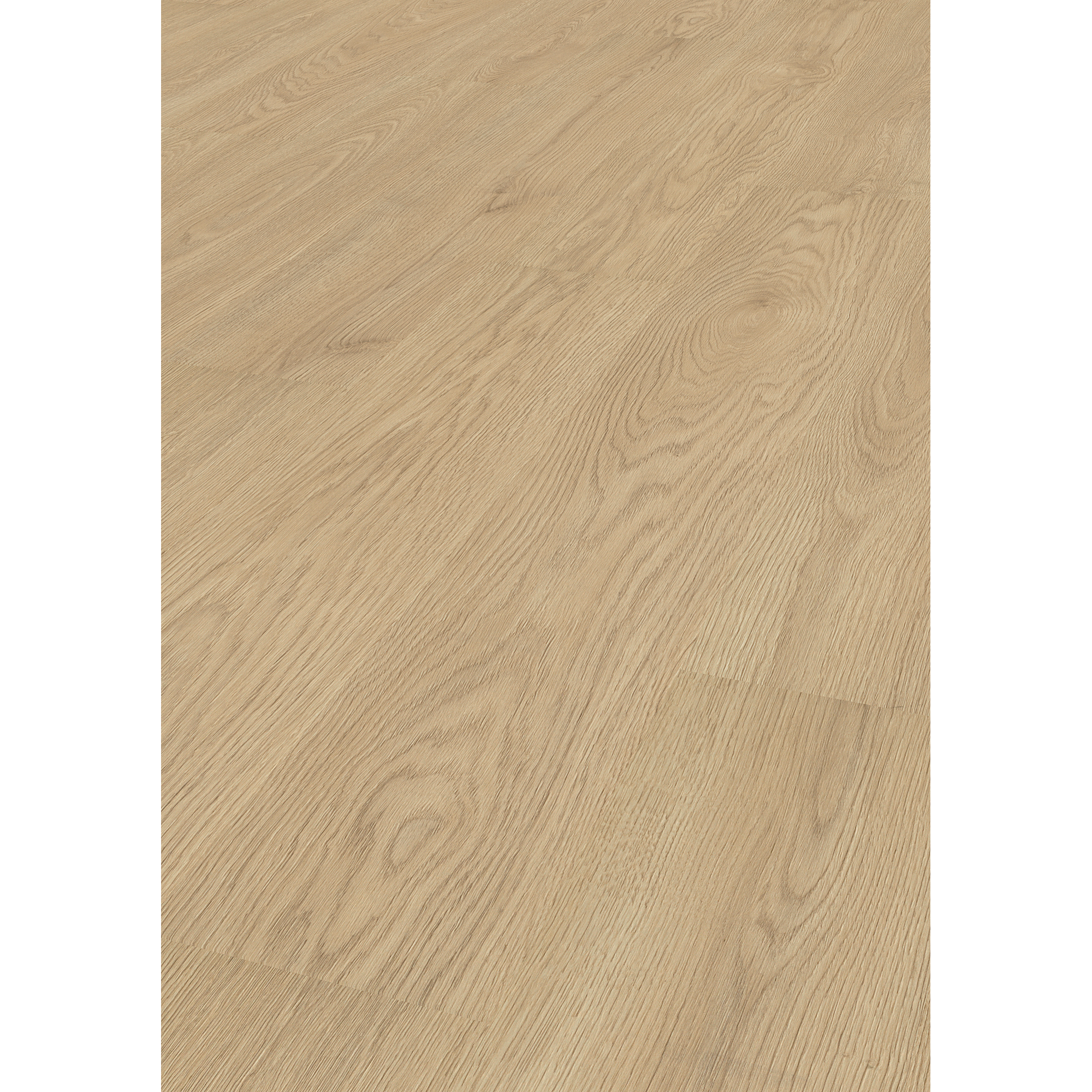 Laminat 'Comforth Oak Silk' eichefarben 6 mm