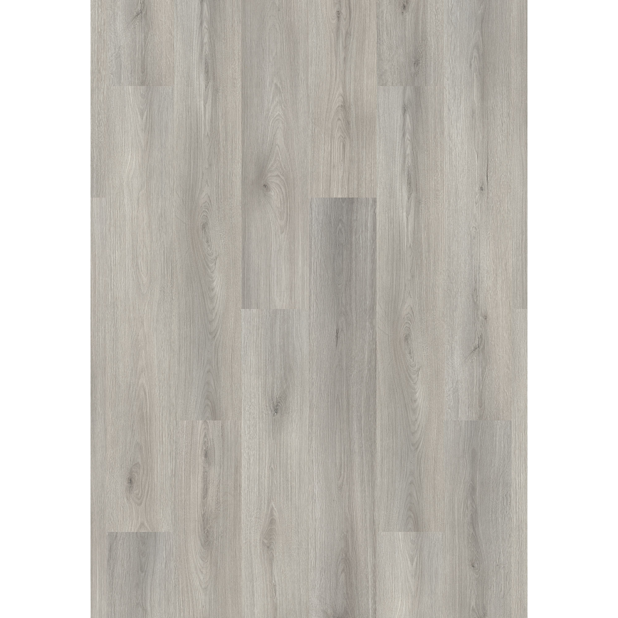 Laminat 'Cantal Oak' eichefarben 6 mm