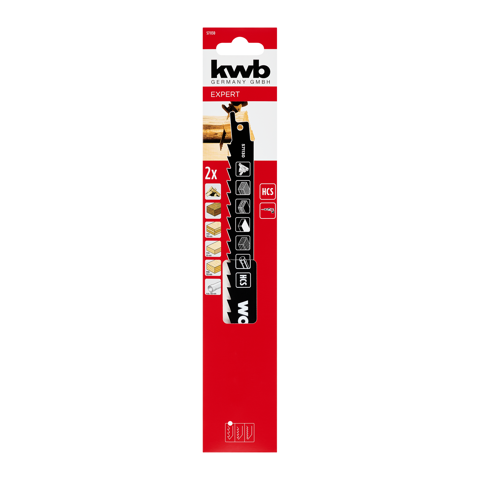 HCS-Säbelsägeblatt-Set 229 mm 2-teilig