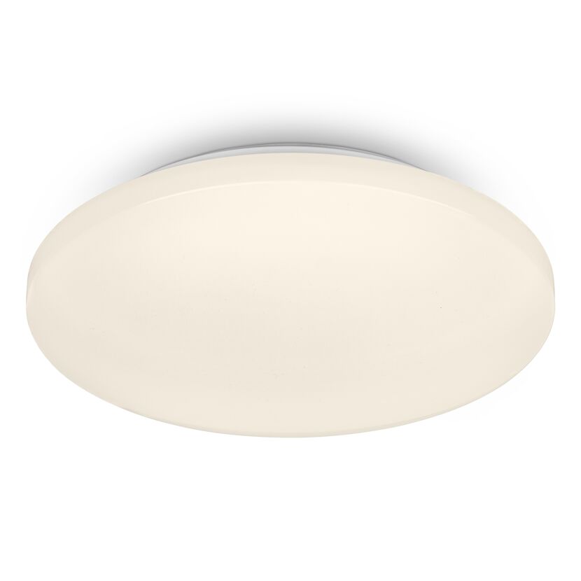LED-Wand- und Deckenleuchte 'Case' weiß Ø 27,5 x 6 cm
