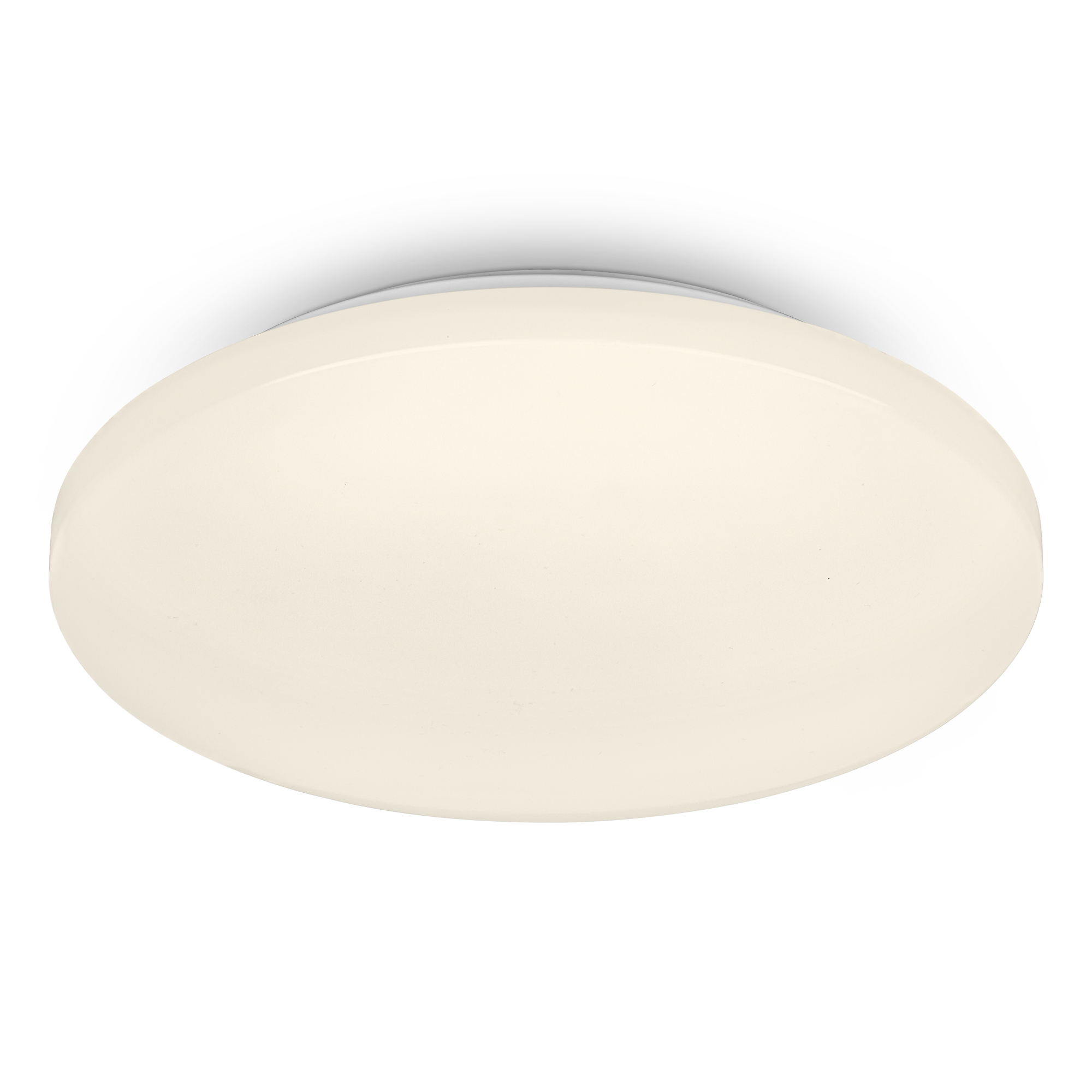 LED-Wand- und Deckenleuchte 'Case' weiß Ø 27,5 x 6 cm