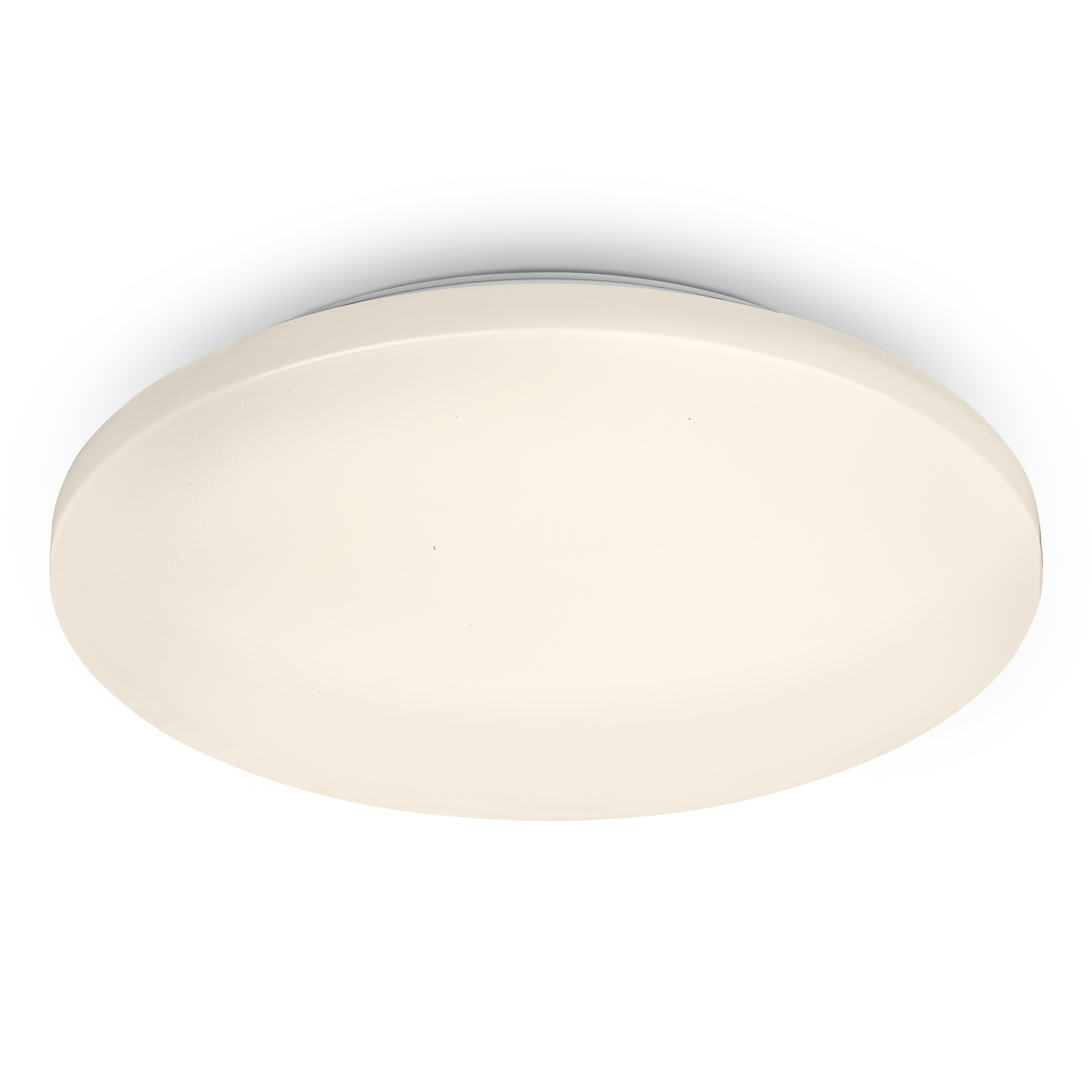 LED-Wand- und Deckenleuchte 'Case' weiß Ø 34 x 6 cm