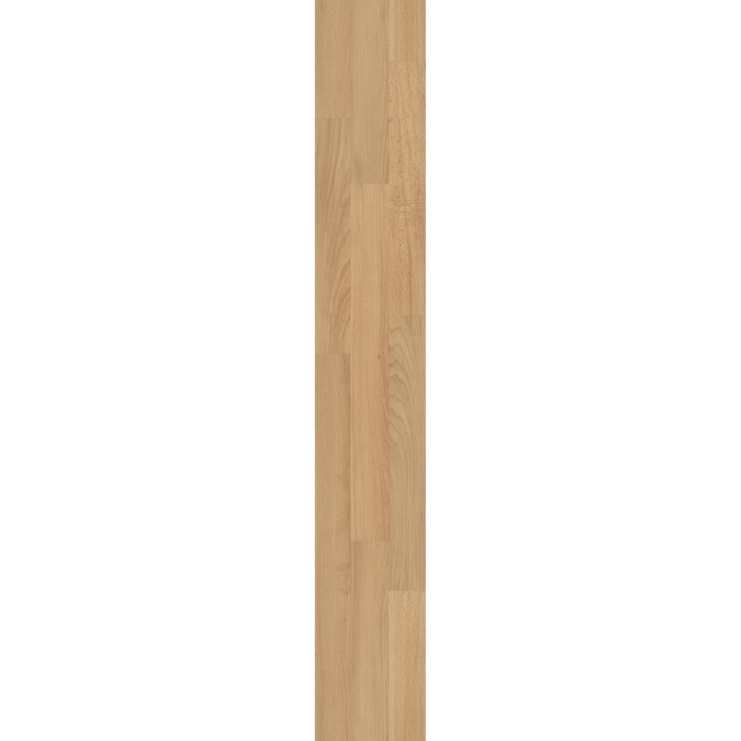Laminat 'Buche' buchefarben 6 mm