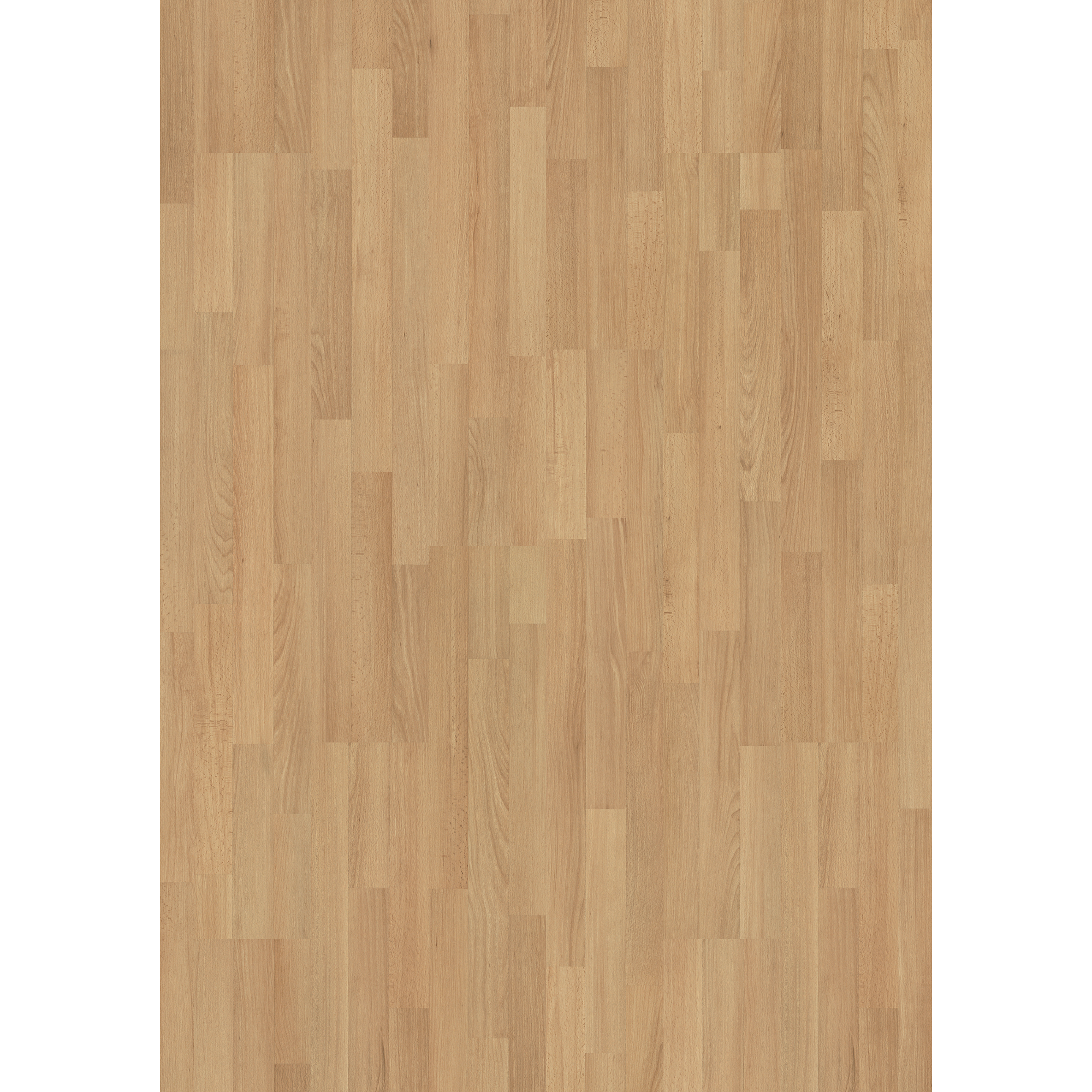 Laminat 'Buche' buchefarben 6 mm