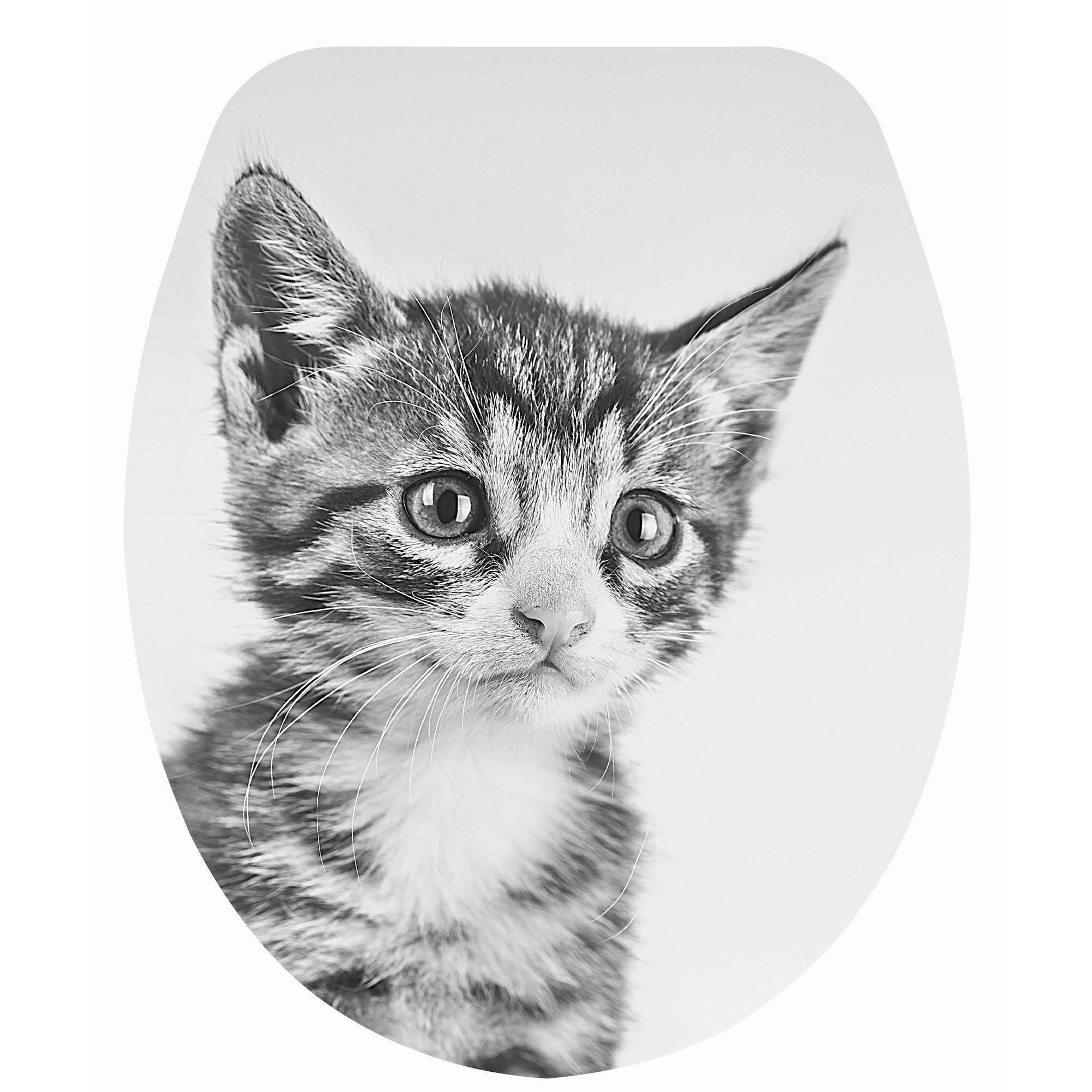 WC-Sitz 'Cat' mit Absenkautomatik Duroplast