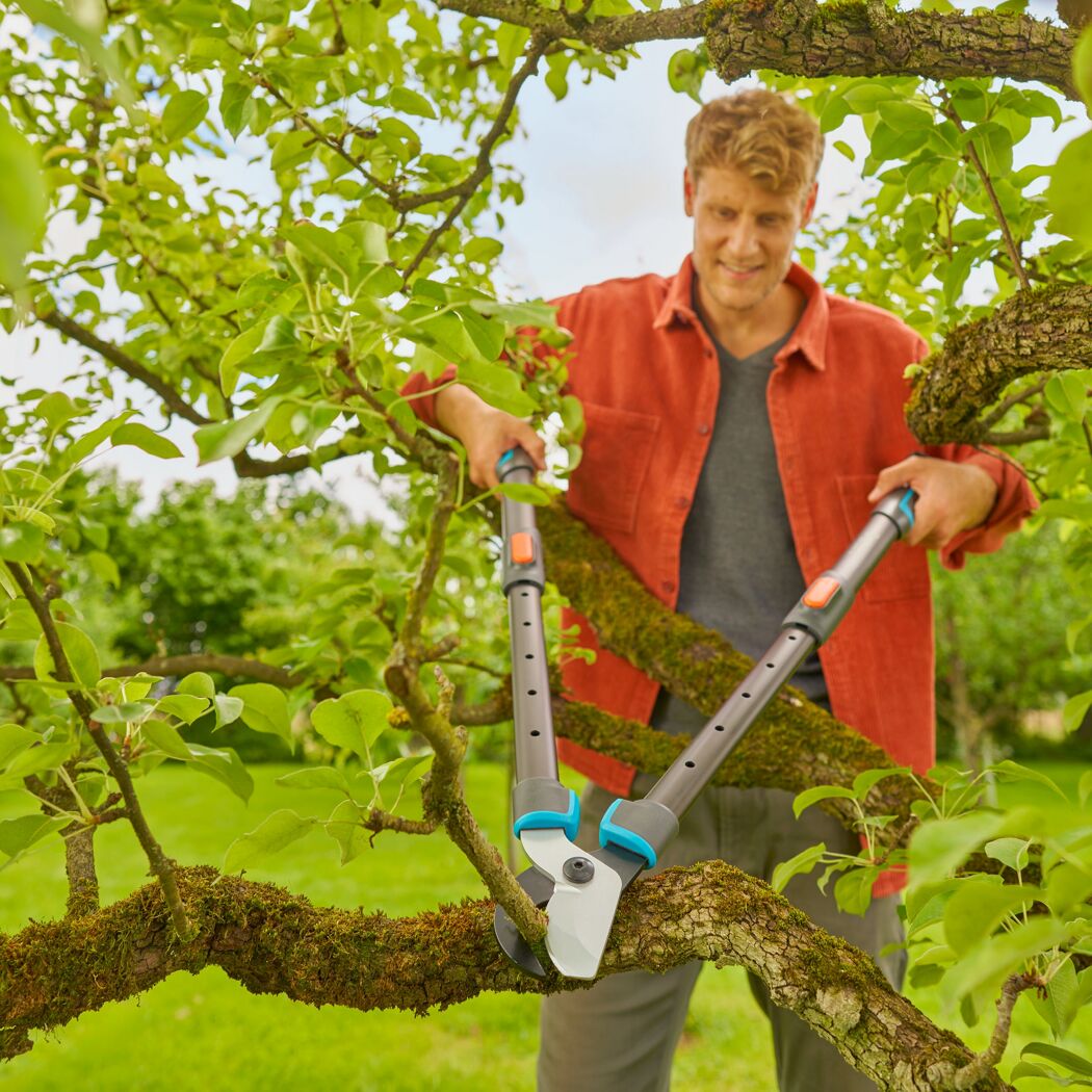 Astschere 'TeleCut Pro L' teleskopierbar bis 90 cm