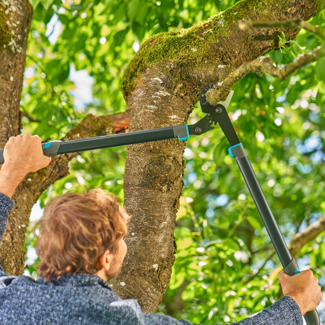 Astschere 'EnergyCut Pro L' Amboss 75 cm