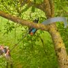 Baum- und Strauchschneider 'StarCut Pro L' 400 cm mit Säge und Adapter