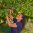 Gartenschere 'PremiumCut 18,4 cm Bypass