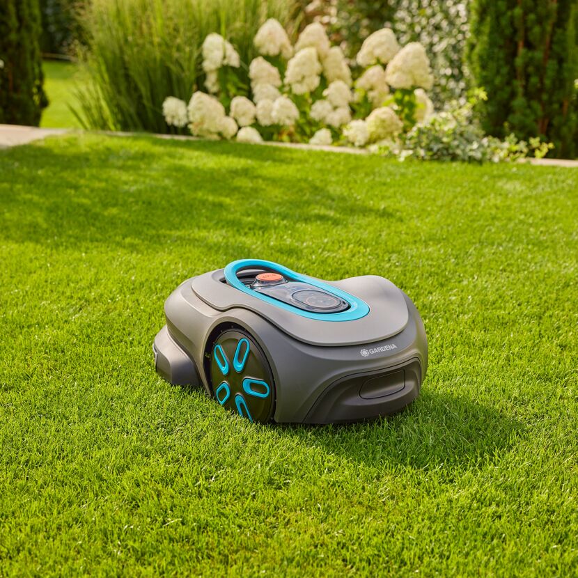 Mähroboter auf grünem Rasen