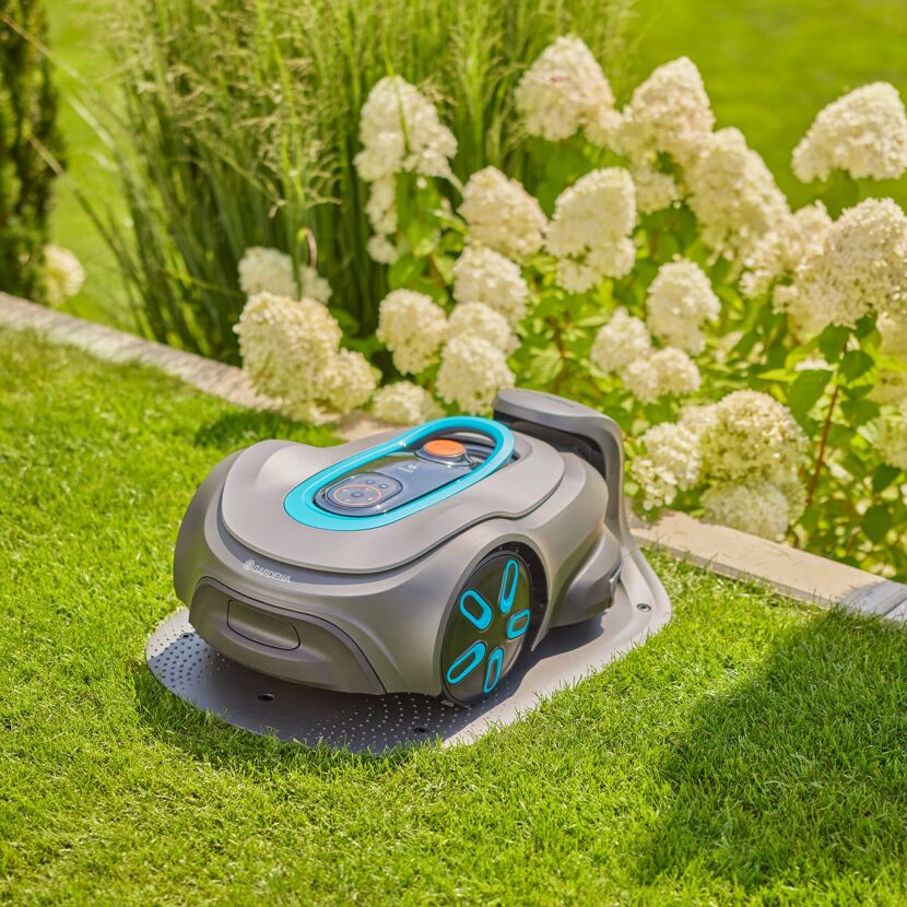 Mähroboter auf Ladestation