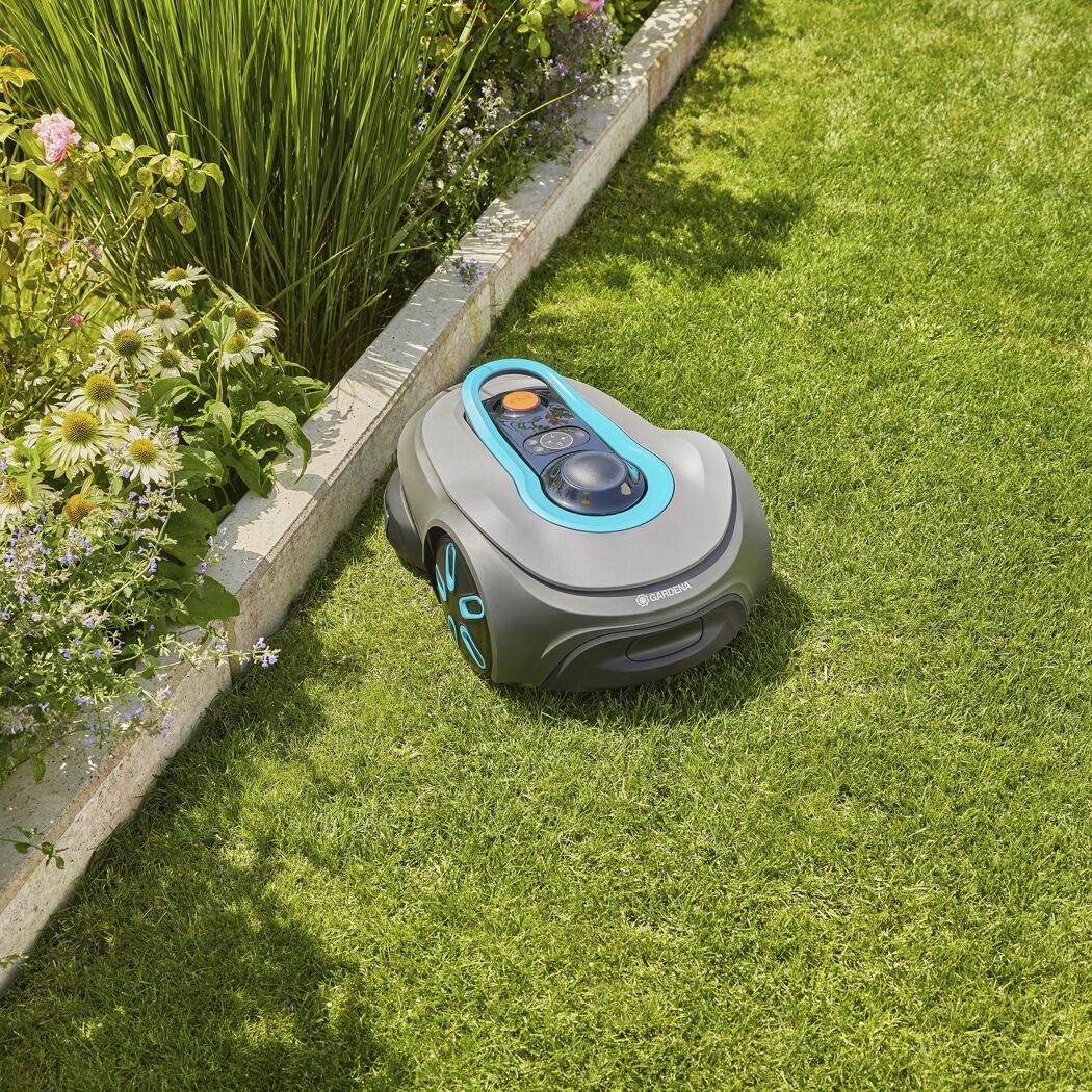 Mähroboter auf grünem Rasen