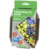 Frischhaltedose aus Edelstahl