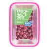 Frischhaltedose mit roten Johannisbeeren