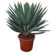 hauptbild