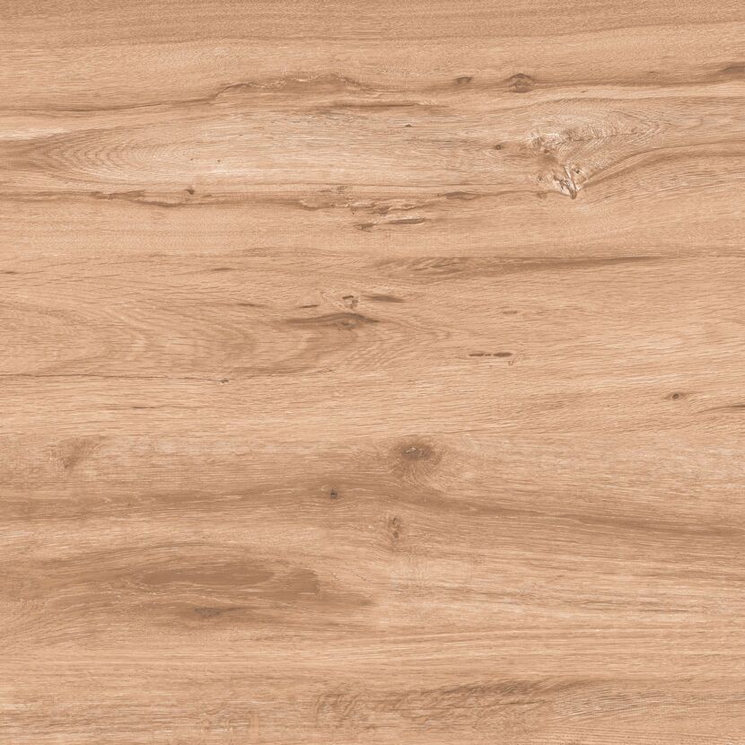 Bodenfliese 'Wood' Feinsteinzeug beige 60 x 60 x 2 cm