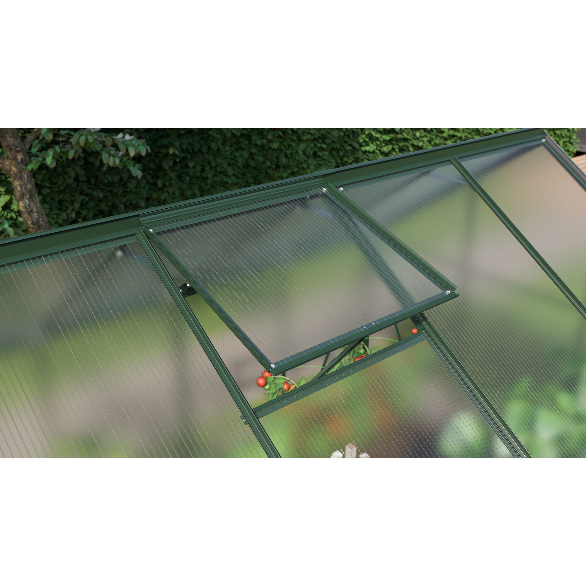 Gewächshaus mit offenem Dachfenster