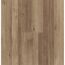 Vinylboden 'Basic' Eiche Mix Natur Holzstruktur 8 mm