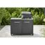 Gasgrill 'G-500' schwarz 60 x 59 x 38 cm