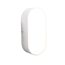 LED-Wandleuchte 'Istanbul' weiß 10 W 20 cm