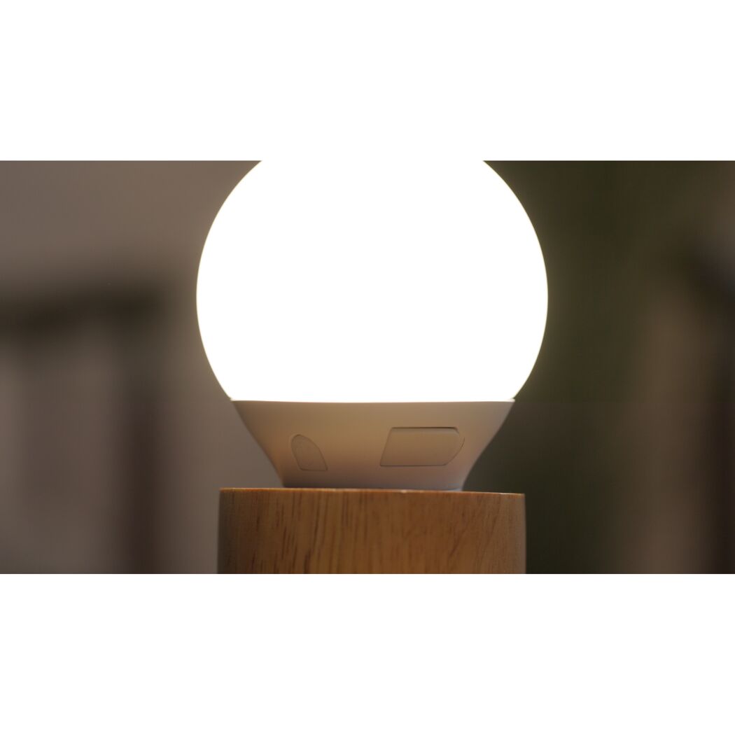 LED-Leuchtmittel Globe matt E27 1,7 W warmweiß bis tageslichtweiß