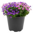 hauptbild