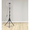 LED-Ringlicht dimmbar 11 W warmweiß bis tageslichtweiß Ø 31,5 cm