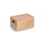 Deckel für Allzweckkiste Buche lackiert 30 x 2 x 20 cm